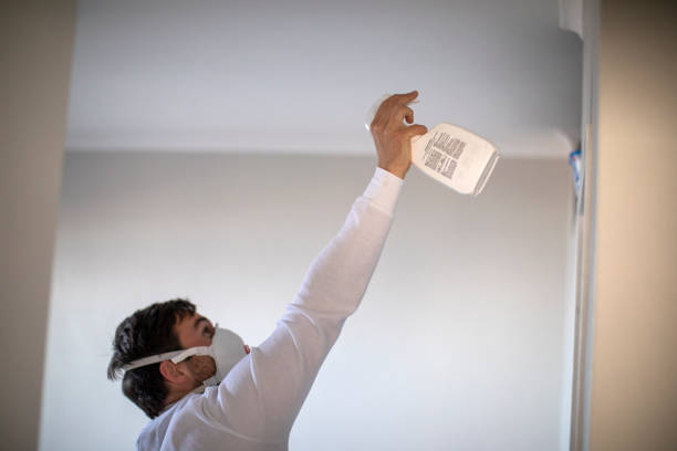 Best Mold Testing and Inspection Services in Wenona, IL