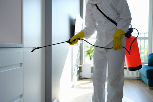 Best Attic Mold Remediation in Wenona, IL