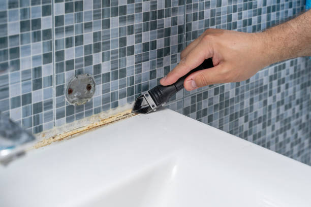 Best Residential Mold Remediation in Wenona, IL