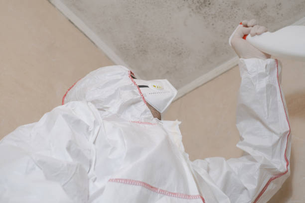 Best Mold Testing and Inspection Services in Wenona, IL